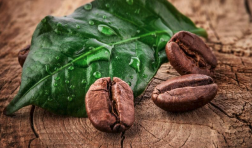 Coffee Beans to represent Koa Coffee - The Best Coffee in America?